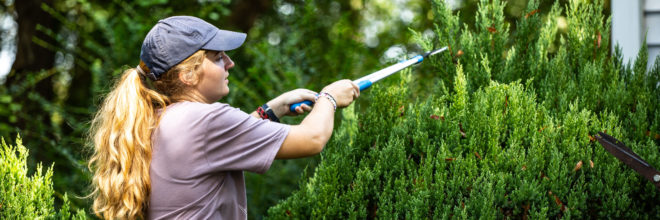 Ouachita students, faculty and staff came together last Saturday for Tiger Serve Day, a semi-annual event in which the university serves the Arkadelphia community. More than 800 volunteers gave their time and completed over 100 different service projects.